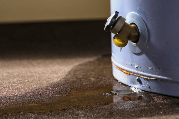 Best Water damage restoration insurance claims  in Plafield, IN