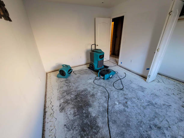 Best Water damage cleanup near me  in Plafield, IN