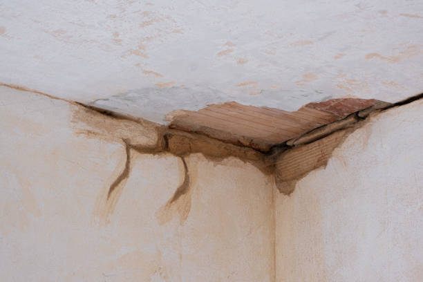 Best Mold removal after water damage  in Plafield, IN