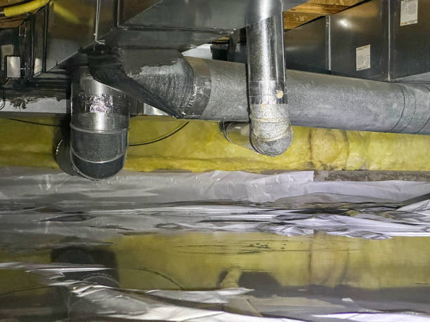 Best Sewage cleanup and water damage restoration  in Plafield, IN