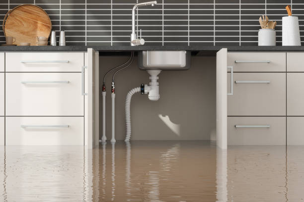 Best Fire Damage Restoration  in Plafield, IN