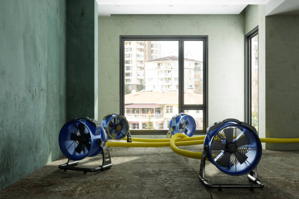 Best Commercial water damage restoration  in Plafield, IN